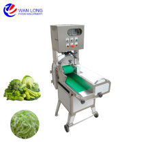 食品加工中心用 连续式多功能切菜机切蔬菜机